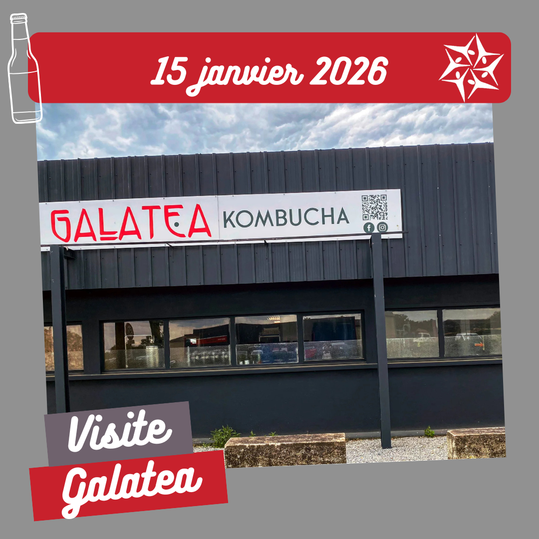 VISITE GALATEA KOMBUCHA